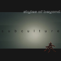 Styles Of Beyond - Subculture B/W Windows