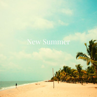 Steve Blame - New Summer