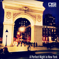 Osi Tejerina - A Perfect Night in New York