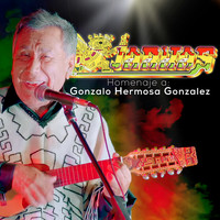 Los Kjarkas - Homenaje a Gonzalo Hermosa Gonzalez