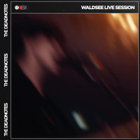 The Deadnotes - Waldsee Live Session