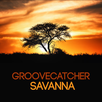 Groovecatcher - Savanna