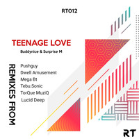 Buddynice feat. Surprise M - Teenage Love Remixes