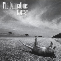 The Damnations - Live Set