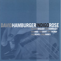 David Hamburger - Indigo Rose