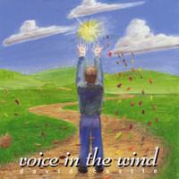 David Castle - Voice in the Wind