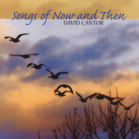 David Cantor - Songs of Now and Then