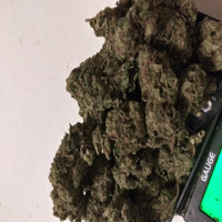 Rich the Factor - Crash the Party