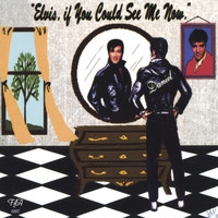 Daniel Young - Elvis If You Could See Me Now