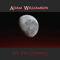 Adam Williamson / - It's You (Stripped)