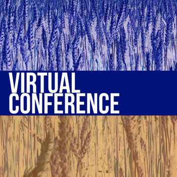 Various Artists - Virtual Conference
