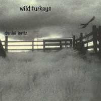 Daniel Lentz - Wild Turkeys