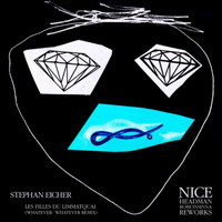 Stephan Eicher - Reworks