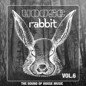 Various Artists - House Rabbit Vol. 6 (The Sound of House Music)