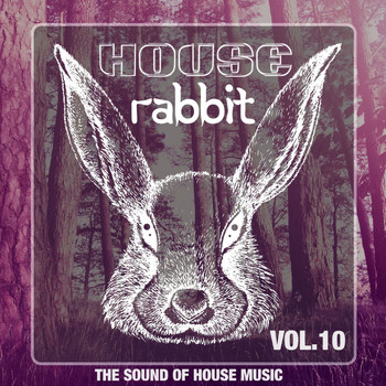 Various Artists - House Rabbit Vol. 10 (The Sound of House Music)