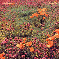 CoryaYo - Late Bloom