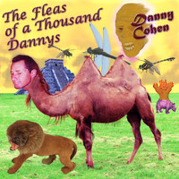 Danny Cohen - Fleas Of A Thousand Dannys
