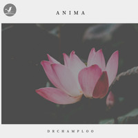 Drchamploo - Anima
