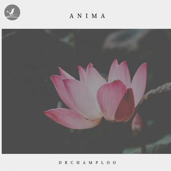 Drchamploo - Anima