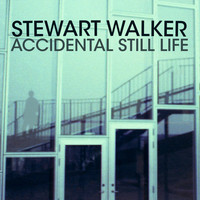 Stewart Walker - Accidental Still Life