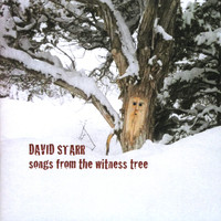 David Starr - Songs From the Witness Tree