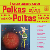 Mariachi Mexico - Polkas Polkas Bailes Mexicanos (Instrumental)