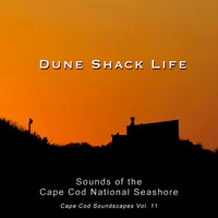 Christopher Seufert - Cape Cod Soundscapes, Vol. 11: Sounds of the Cape Cod National Seashore