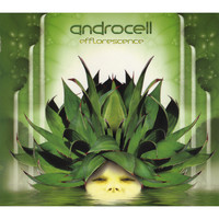Androcell - Efflorescence [CD Rec 003](Chill-out / Psy-dub / Downtempo)