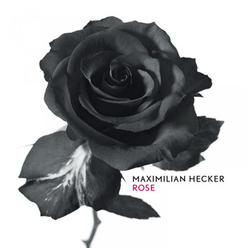 Maximilian Hecker - Rose