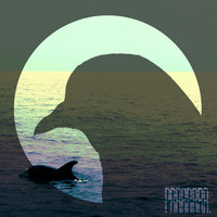 Kordz - Lonely Dolphin Mystery