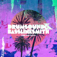 Drumsound & Bassline Smith - Feeling Good