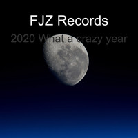 FJZ Records / - 2020 What a Crazy Year