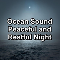 Alpha Wave Movement - Ocean Sound Peaceful and Restful Night
