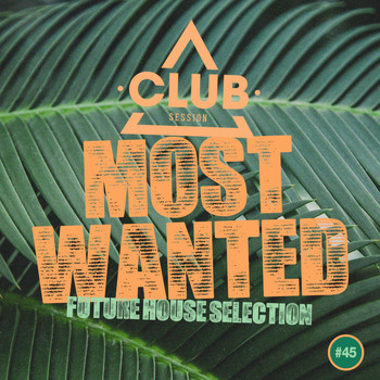 Various Artists - Most Wanted: Future House Selection, Vol. 45