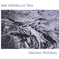 The Dan Dechellis Trio - Organic Material