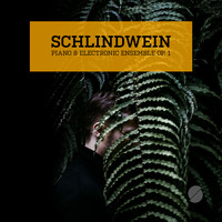 Schlindwein - Piano & Electronic Ensemble Op. 1