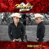 Los Cuates de Sinaloa - PURO CUATE!!!, Vol. 1