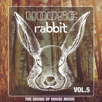 Various Artists - House Rabbit Vol. 5 (The Sound of House Music)