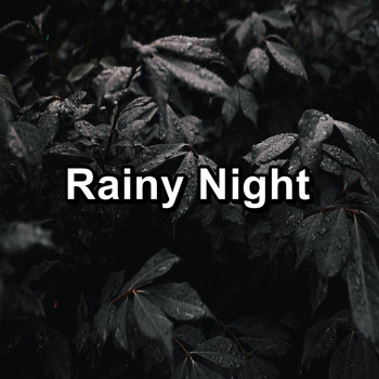 Relax - Rainy Night