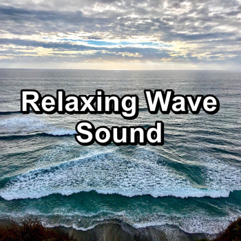 Beach Sounds - Relaxing Wave Sound