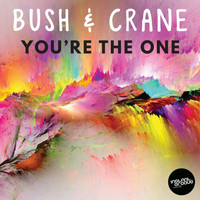 Bush & Crane - You're The One