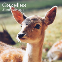 Jianda Monique - Gazelles