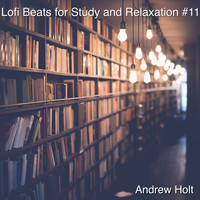 Andrew Holt - Lofi Beats for Study and Relaxation #11