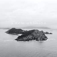 Biba Dupont - A New Oblivion (Collected) (Collected)