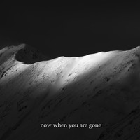 Aly Baig - Now When You Are Gone (Rhythmic Melody)