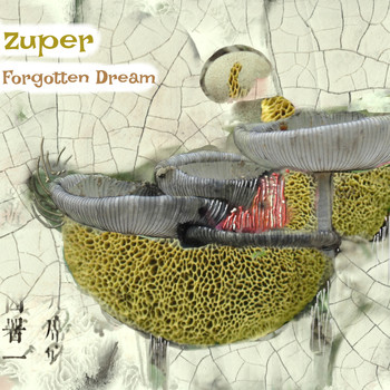 Zuper - Forgotten Dream