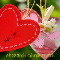 Bhodaich Ghreannach - For You