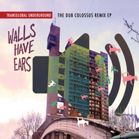 Transglobal Underground - Walls Have Ears: the Dub Colossus Remix EP