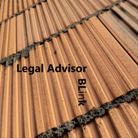 Legal Advisor - Blink