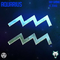Day Gromk - Aquarius